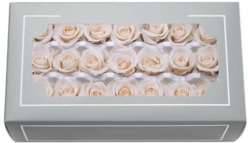 FORTTS Tête de rose éternelle naturelle préservée de qualité A de 2 à 3 cm, rose immortelle dure 3 à 5 ans pour la fête des mères, la Saint-Valentin, un anniversaire, un mariage, une décoration de