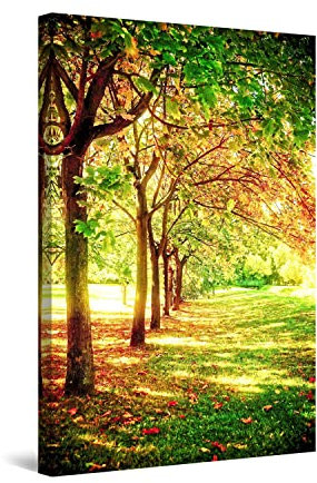 Startonight Impression Sur Toile Rangée d'Arbres, Tableau Nature- Decoration Murale Salon Moderne - Image sur Toile - Grande 80 x 120 cm Idée Cadeau Élégante et Originale Effet Lumineux Nocturne