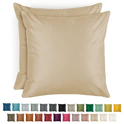 Blumtal 2er Set Kissenbezug 30x50 cm Beige - dekorativer Samt Kissenbezug mit verstecktem Reißverschluss, Kissenhülle für Zierkissen Deko-Kissen Polster Sofakissen & Couchkissen, waschbar