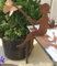 Gartenfigur Kleiner Angler Finn sitzend für Kante 30cm Kantensitzer Edelrost Gartendeko Wetterfest Rost Metall Rostfigur Teich Deko Maritim Metallfigur