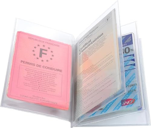 AGENDA DISCOUNT 1 étui de Protection multicartes 4 Volets (8 Faces) - Carte de Cantine, Carte Grise, Nouveau permis de Conduire, Carte d'identité, Carte d'abonnement - 8,8 x 13,8cm - Cristal
