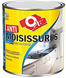 PEINTURE ANTI-MOISISSURE - 0.5 Litre