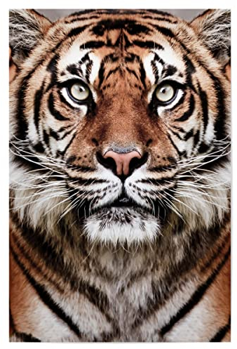 artboxONE Poster 30x20 cm Tiere Tiere Tiger Face hochwertiger Design Kunstdruck - Bild Tiger Fotografie große Katze
