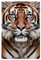 artboxONE Poster 30x20 cm Tiere Tiere Tiger Face hochwertiger Design Kunstdruck - Bild Tiger Fotografie große Katze