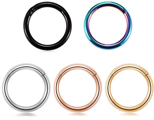 hengkaixuan 20G hypoallergene Nasenringe Clicker Segment Nahtlose Hoop Nasenring Septum Ring Unisex Creolen 316l Chirurgenstahl Piercing 5 STK
