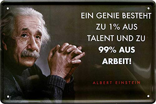 schilderkreis24 Blechschilder Kollektion 20x30cm – Albert Einstein Zitate & Sprüche: Inspirierende & humorvolle Wanddeko (EIN Genie besteht zu .. Arbeit!)
