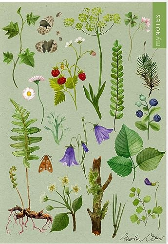myNOTES Papeterie: Notizheft Naturschätze: Wald & Wiesenblumen | Heft liniert A5, blumiges Design, für Notizen und gute Ideen unterwegs (myNotes Notizheft)
