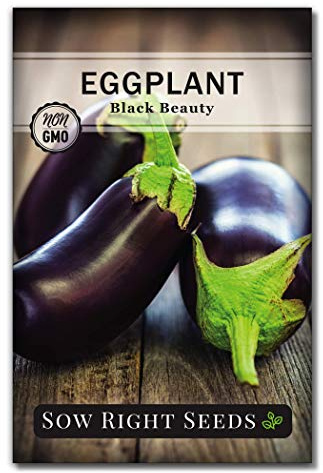 Sow Right Seeds - Black Beauty Eggplant Seed for Planting - Non-GMO Heirloom Packet with Instructions to Plant an Outdoor Home Vegetable Garden - Large Round Fruits, Deep Purple Variety (1)