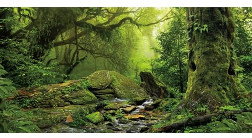 AWERT Tropischer Wald Terrarium Hintergrund Bach Grün Riesiger Baum Reptil Habitat Hintergrund Nebel Regenwald Aquarium Hintergrund 91,4 x 61 cm Durable Polyester Hintergrund