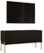 Meuble TV Bas Moderne - Noir Mat/Noir Brillant/Pieds Dorés - 100x52x32 cm