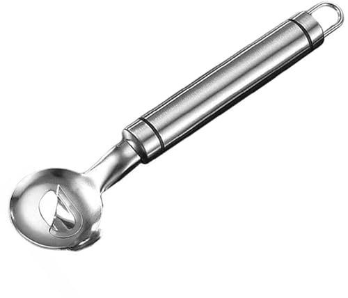 Holdes Strumento di peeling del cactus, macchina per polpette - Cucchiaio per polpette da pressatura in acciaio inossidabile,Strumento multifunzionale per palle, lavabile in