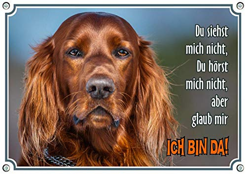 Petsigns Wunderschönes Hundeschild - Irischer Roter Setter - Metall Warnschild, DIN A4