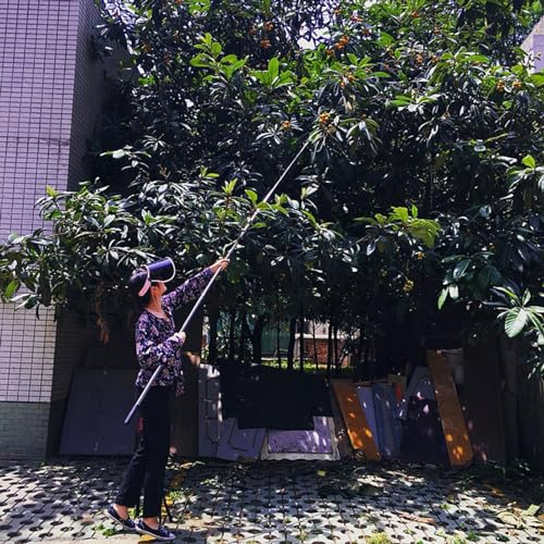 recoge frutas telescopico Pinza Extensible Con Mango Largo Para Árboles Frutales, 2.5 3 5 6 7 10 M Pértiga Recogedora De Fruta Telescópica Con Cesta Para Recolectores De Fruta Más Grandes Papayas Limó