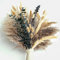 Flores Secas 100 Piezas,Eucalipto Preservado,44 cm,Decoracion Hogar,Decoracion Boda,Hierba de La Pampa,Ramo de Flores Secas,Decoracion Habitacion,Pampas Secas Decoracion,Decoraciones Boho