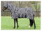Fliegendecke Zebra Halsteil abnehmbar (125cm)