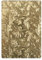 Sizzix Cartella da Embossing 3D Textured Impressions Crepato Fustella, Multicolor, Cartella Botanica