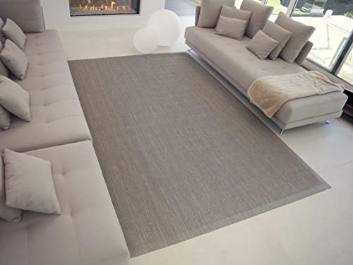 TEJIDOS EL MUNDO Alfombra Vinilo - Antideslizante y Lavable - Apto para Interior y Exterior. - 200x300 cm., Beige