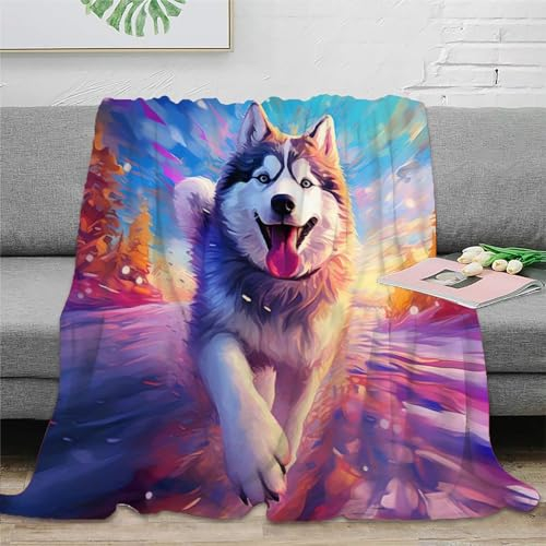 Husky 3D-gedruckte Decke Design Weiche Und Warme Mikrofaser Bettwäsche Sofabettwäsche Für Kinder Teenager Erwachse 40x50inch(100x130cm)