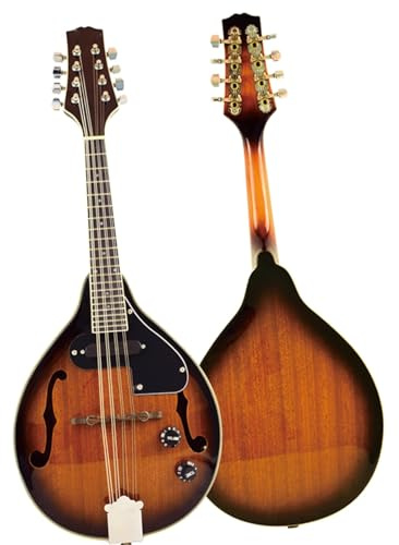 Kit Mandolin instrument Electric Sapele Mandolin With Sponge Bag