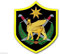 WildeBabsKLBT 11cm Hochwertiger Auto-Aufkleber Sticker Decal Autoaufkleber Aufkleber-Folie Wetterfest Multi National Force Iraq Army F2653