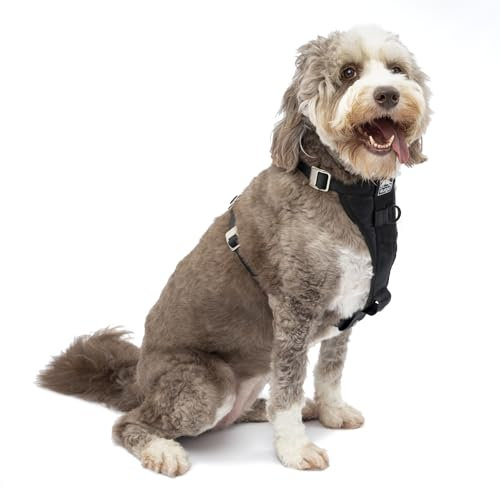 Kurgo Tru-Fit Enhanced Strength Dog Harness - Crash Tested Car Safety Harness for Dogs, No Pull Dog Harness, Includes Pet Safety Seat Belt (Black, X-Large)