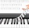 Piano Stickers, Piano Keyboard Stickers Piano Notes Guide for Beginner Piano Key Music Notes Letter Label Piano Keyboard Note Labels Reusable 88 Key Full Size Overlay Strips Guides for Beginners