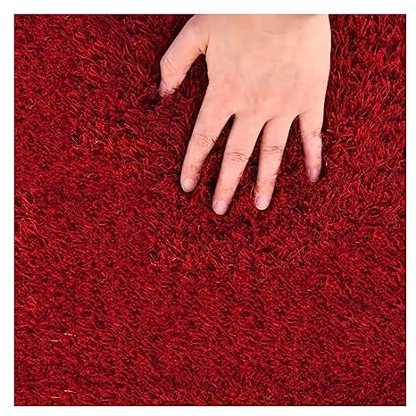 Gazon Artificiel, Tapis réversibles pour pelouse de Jardin, Gazon synthétique réaliste, Tapis d'herbe intérieur et extérieur pour Animaux de Compagnie avec Trous de Drainage (Couleur : Roug