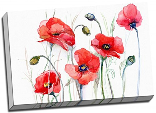 Rot Mohn Aquarell Leinwand Kunstdruck 76,2 x 50,8 cm Poster A1