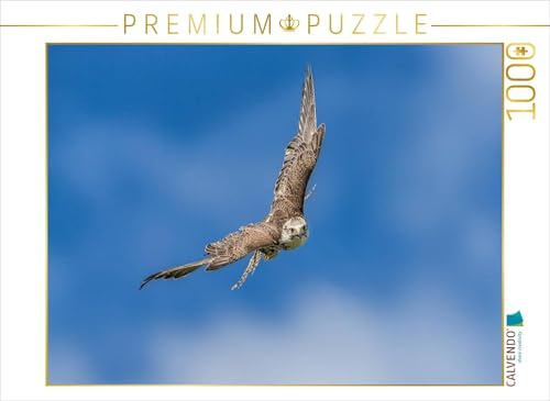 CALVENDO Puzzle Sakerfalke | 1000 Teile Lege-Größe 64 x 48 cm Foto-Puzzle für glückliche Stunden