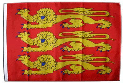 Digni® Drapeau France Haute Normandie, treis Cats 30 x 45 cm