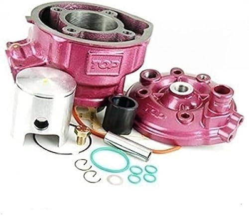9919240 GRUPPO TERMICO TOP D.49,5mm RIEJU RS2 50 2T LC AM6 GHISA