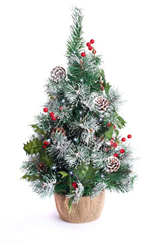 Best Artificial 2ft / 60cm Small Decorated Indoor Christmas Tree with 20 Bright White LED Battery Lights (Frosted Red)
