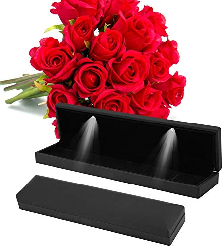 Rotekt Schmuckschatulle mit LED Licht, Schmuckschachtel, Led Beleuchtete Halskette Schmuck Vitrine Aufbewahrungsbox, Wird Für Weihnachtsgeschenke Valentinstagsgeschenke