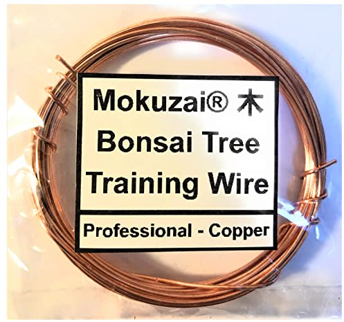 Bonsai-Baum-Styling- und Trainingsdraht, geglüht, blankes Kupfer, 1 mm, 400 cm