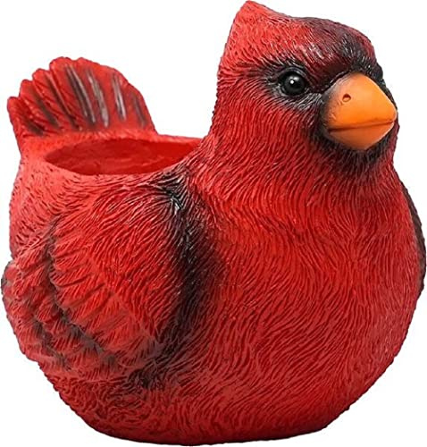 Spoontiques Cardinal Flower Pot, Decorative Home Accessories, Tabletop Decoration, Vase Window Décor, Indoor Outdoor Décor