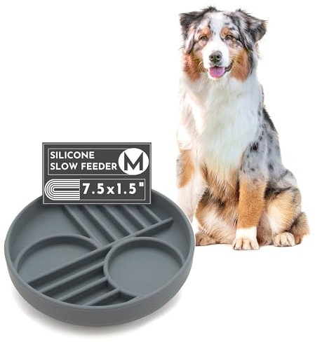 Should We Go? Geometric Puzzle Dog Feeder - Medium Charcoal Slow Feeder Bowl for Dogs