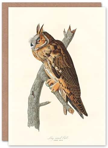 Artery8 John James Audubon Art Card Birds Of America Long Eared Owl