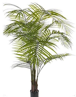 Kunstpalme Areka ca. 175cm hoch mit 16 Blattwedel UV-sicher und echtem Palmfasermaterial - Künstliche Areca Palme Madagaskar Goldfruchtpalme