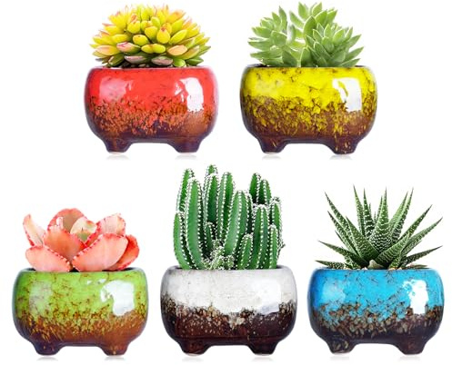 ARTKETTY Lot de 5 Petits Pots à succulentes en céramique avec Trou de Drainage pour Cactus, Fleurs et Plantes d'intérieur, 12 cm