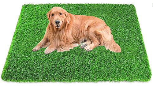 Dalles Gazon Artificiel Tapis De Gazon Artificiel pour Chiens, Convient pour l'herbe D'entraînement De Toilette pour Chat/Chien, Facile À Nettoyer (Size : 43x66cm)