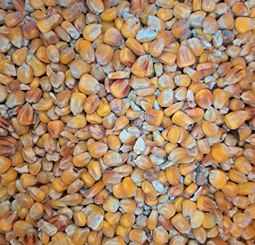 Rätze-Mühle Mais Ganzkorn 12,5kg / Futtermais/Mais klassisch/Körnermais/Futtermittel