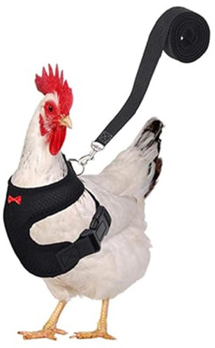 3 Stück Verstellbares Hühner-Geschirr Mit Leine, Hühnergeschirr Für Hühner Atmungsaktiv, Elastisch, Bequem, Atmungsaktiv, Haustiergeschirr Für Ente, Gans, Henne, Für Lauftraining