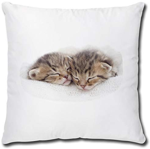 TRIOSK Kissen mit Katze Katzenmotiv Nap Time lustig Katzen Geschenk für Katzenliebhaber Frauen Freundin Mädchen Dekokissen 40x40