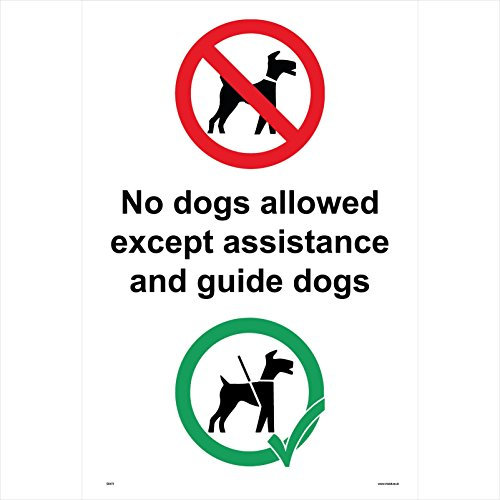 GE473 No Dogs Allowed Except Assistance And Guide Dogs SIGN sight blind work 100mm x 150mm Sticker/Sav - White Background
