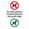 GE473 No Dogs Allowed Except Assistance And Guide Dogs SIGN sight blind work 100mm x 150mm Sticker/Sav - White Background