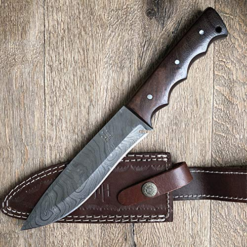 Hobby Hut HH-401, Bushcraft Couteau de Survie en Acier damassé, Couteau de Chasse, Couteau de Chasse, Manche en Bois de Noyer Extra Tranchant, Manche en Cuir, Couteau de Camping