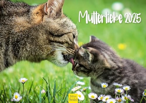 Edition Seidel Premium Kalender Mutterliebe 2025 Format DIN A3 Wandkalender Tierkalender Tiere Tierkinder kleine Tiere Haustiere Hoftiere und Waldtiere