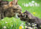 Edition Seidel Premium Kalender Mutterliebe 2025 Format DIN A3 Wandkalender Tierkalender Tiere Tierkinder kleine Tiere Haustiere Hoftiere und Waldtiere