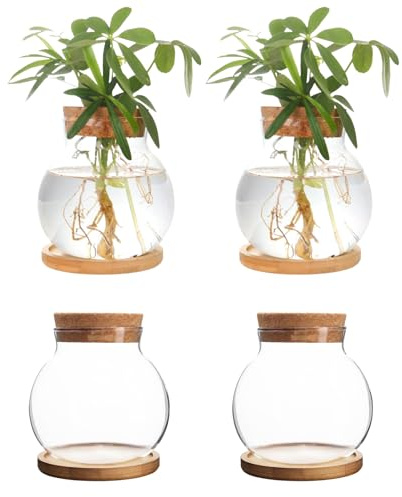 CHPINDAM Plant Propagation Station,Hydroponic Glass Container Vase Jars, with Wooden Saucer for Desks, Houses, Garden Decorations, Home Kitchen Decorations and Gifts for Plant Lovers (4)