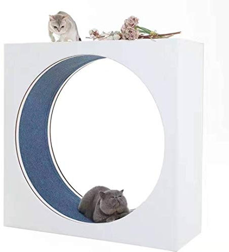 BZZBZZ Katzenrad Großes Sport Riesenrad Laufen Laufrad Stummschaltung Maximale Belastung 265 Pfund Am besten für Ihre energiegeladene Katze